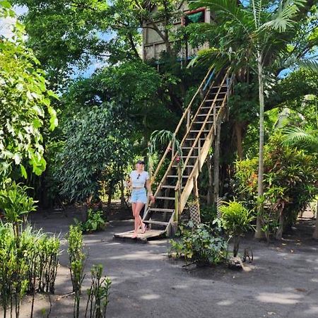 Tanna Volcano View Tree House Lenkuru Екстериор снимка