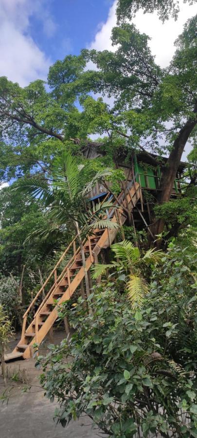 Tanna Volcano View Tree House Lenkuru Екстериор снимка