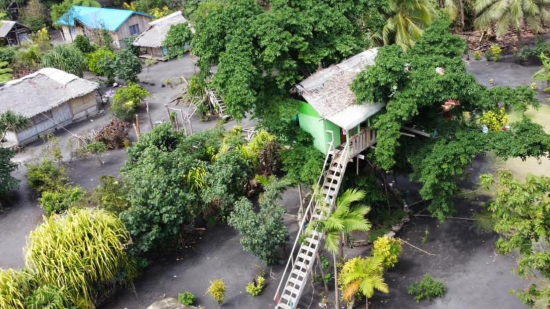 Tanna Volcano View Tree House Lenkuru Стая снимка