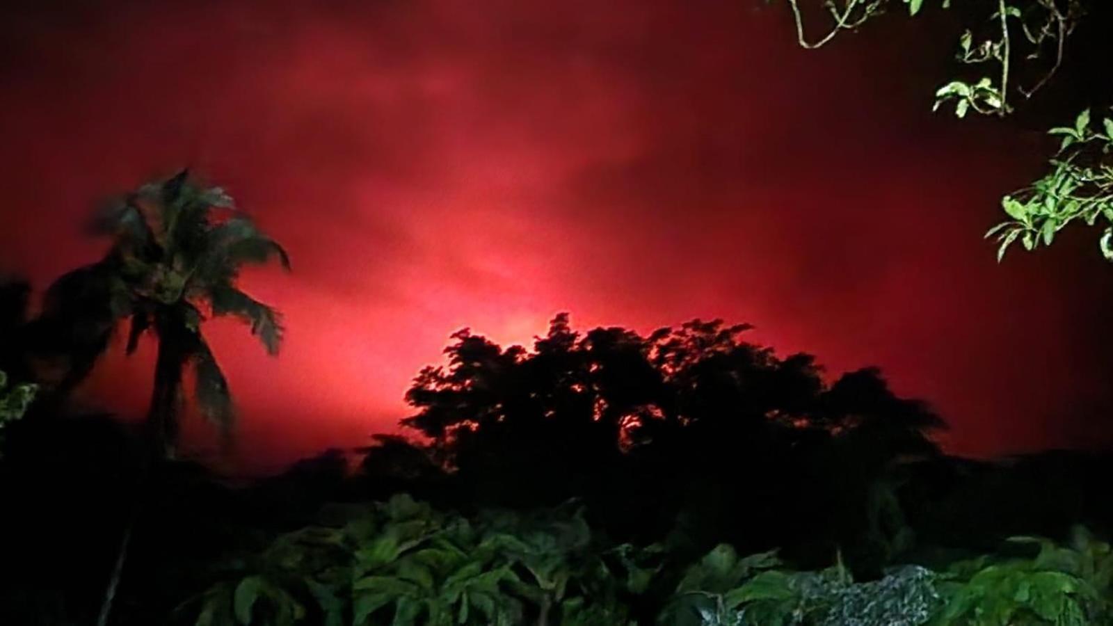 Tanna Volcano View Tree House Lenkuru Екстериор снимка